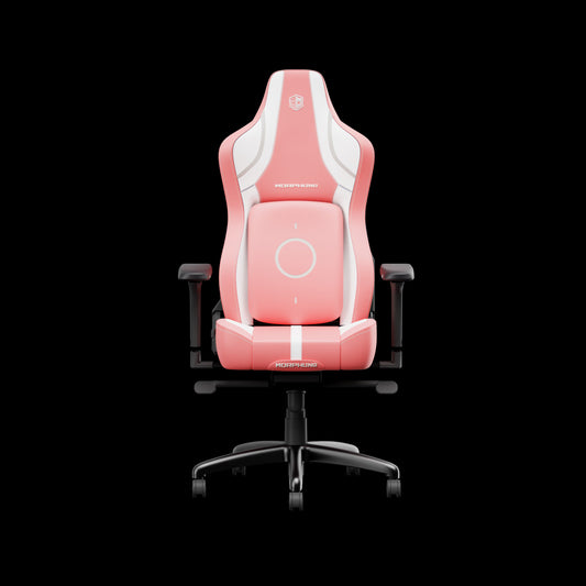 Limited Edition - Gamer Girl Gaming Chair - Super Tech Bargains